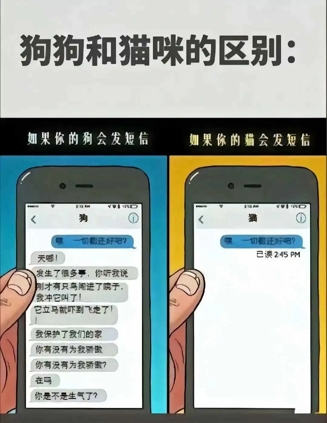 西檬之家-字母圈K8是什么？