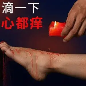 西檬之家-Brat属性是什么？字母圈新人入圈指南