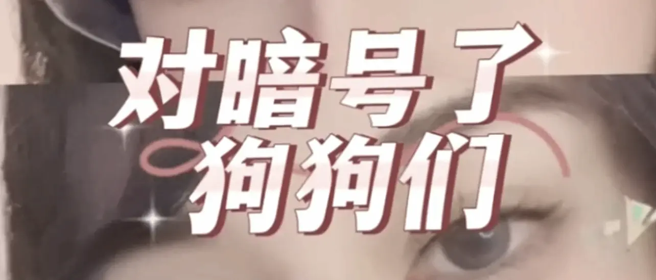 西檬之家-字母圈践踏癖入门指南：基于SSC的权力与信任