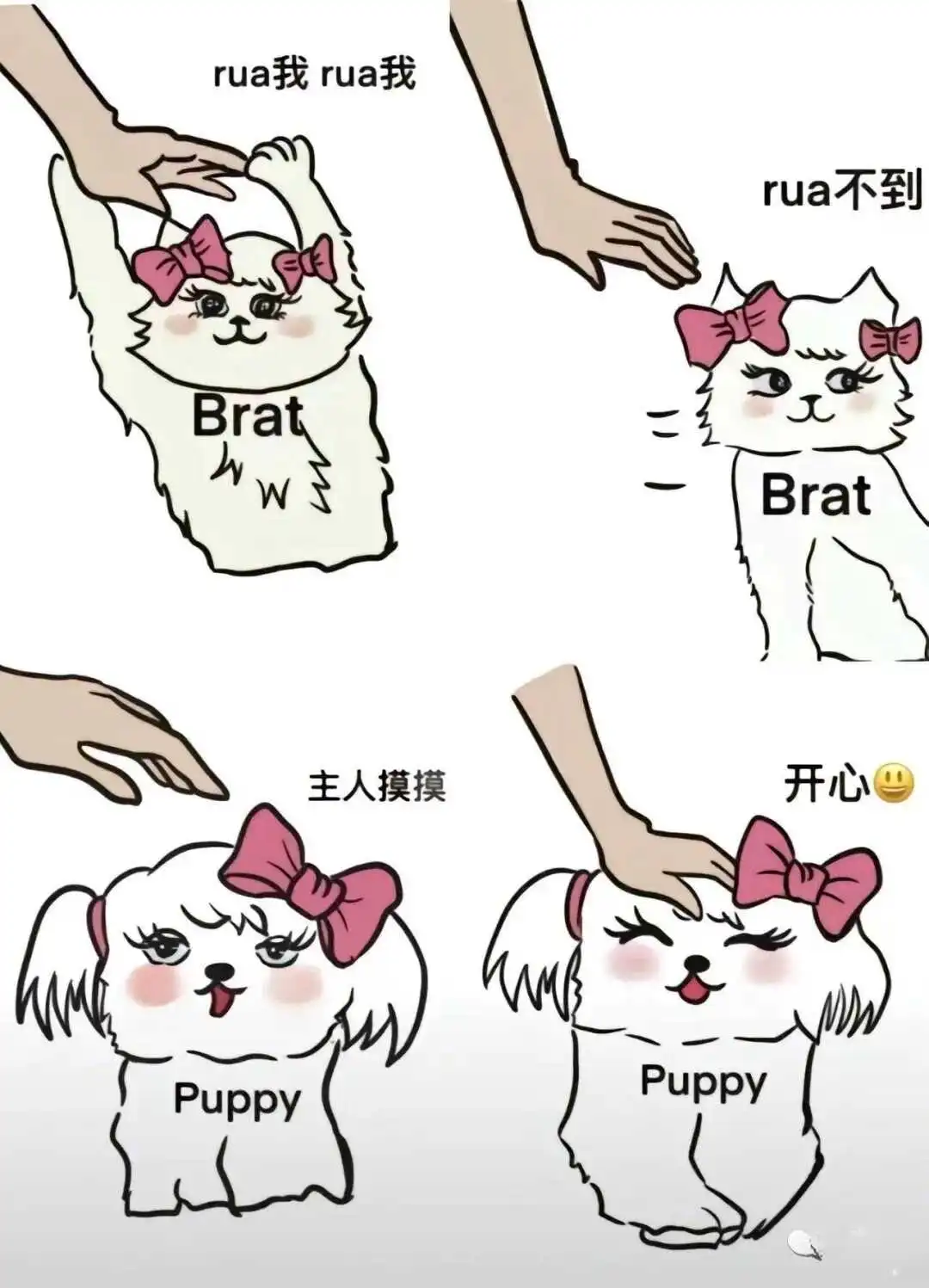西檬之家-字母圈新人入圈指南：理解BDSM与关键术语