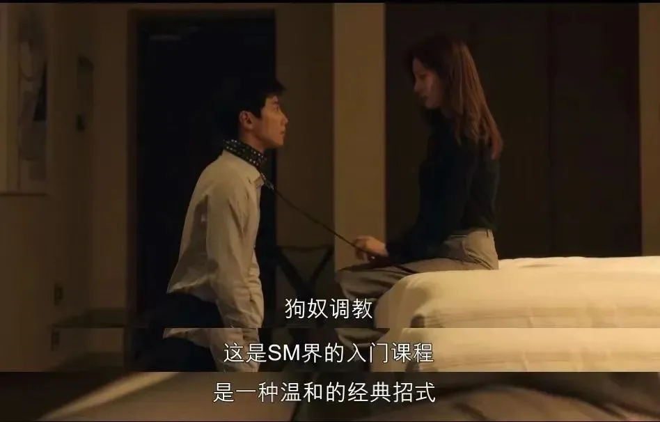 【西檬之家】字母圈新人小白必看：k8是什么？全面解析猫奴文化与字母圈实践
