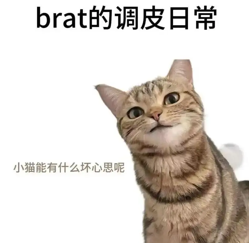 【西檬之家】字母圈入门：BDSM新手如何建立安全信任关系