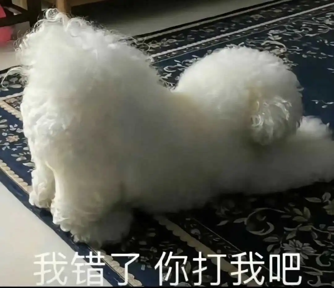 【西檬之家】BDSM字母圈DOM是什么意思？
