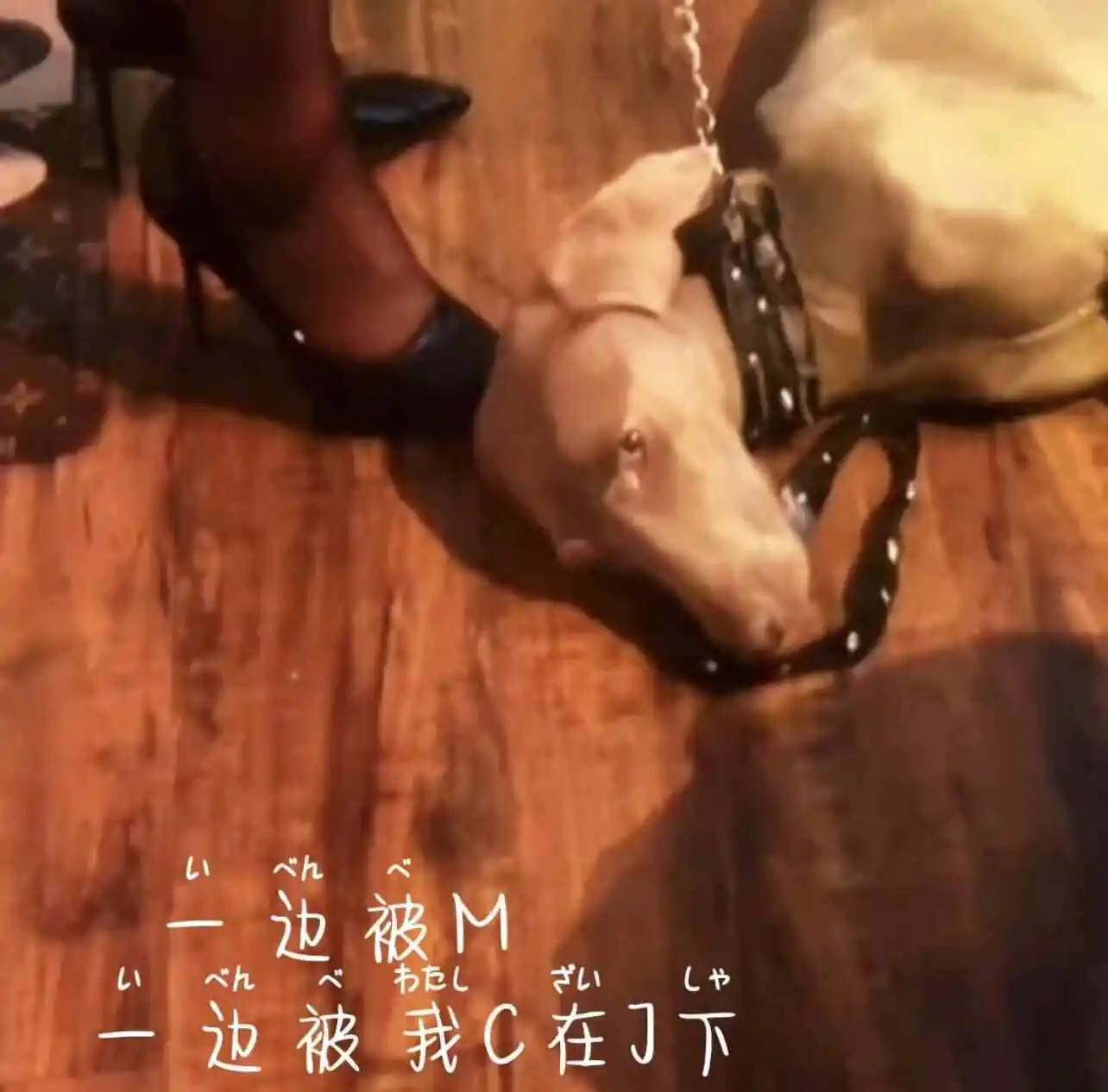 【西檬之家】新人必读-字母圈入门指南：从BDSM理论到实践技巧