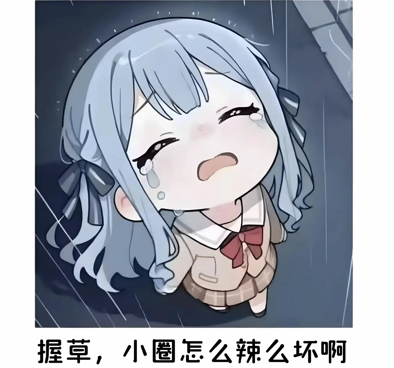 【西檬之家】字母圈新人入圈指南