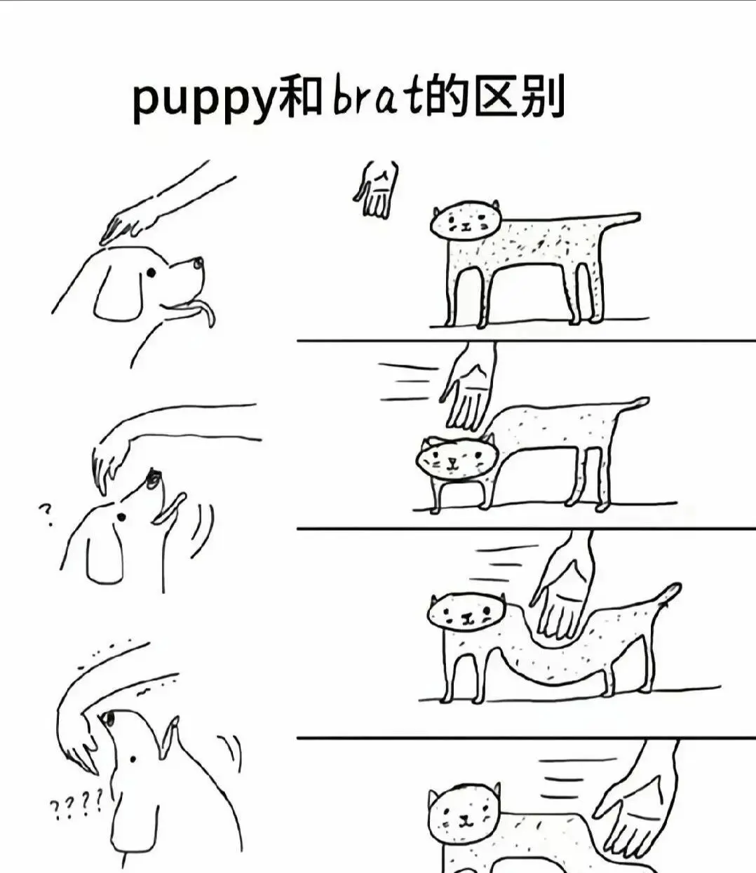 【西檬之家】Sub是什么？BDSM圈臣服者角色深度解析