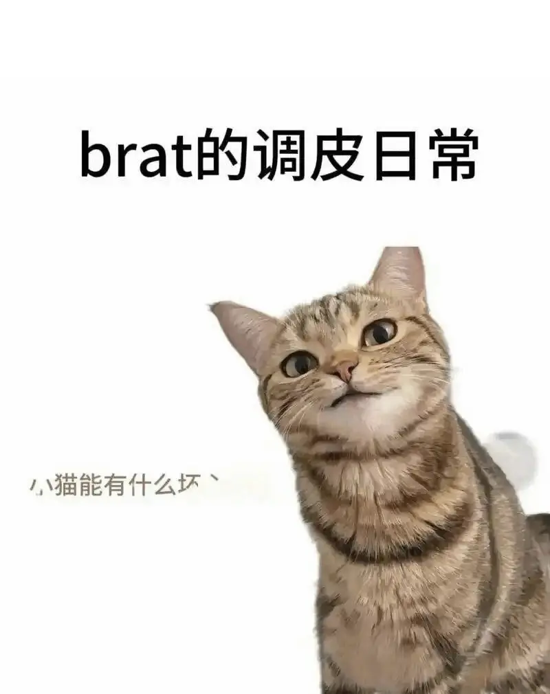 【西檬之家】斯慕圈入门：BDSM核心术语与安全原则解析
